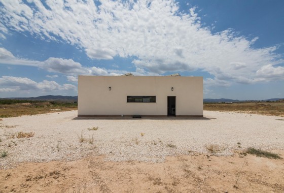 Obra nueva - Chalet - Pinoso - Campo