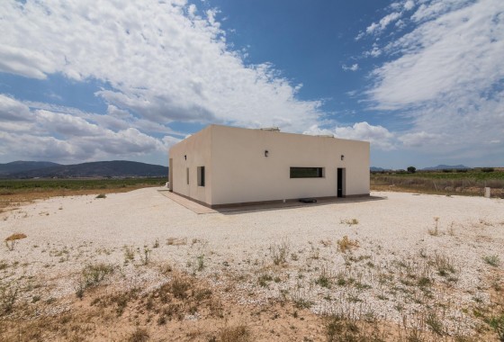 Obra nueva - Chalet - Pinoso - Campo