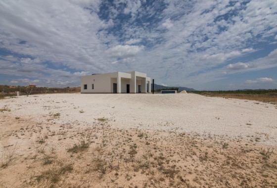 Obra nueva - Chalet - Pinoso - Campo