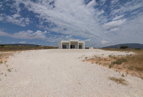 Obra nueva - Chalet - Pinoso - Campo