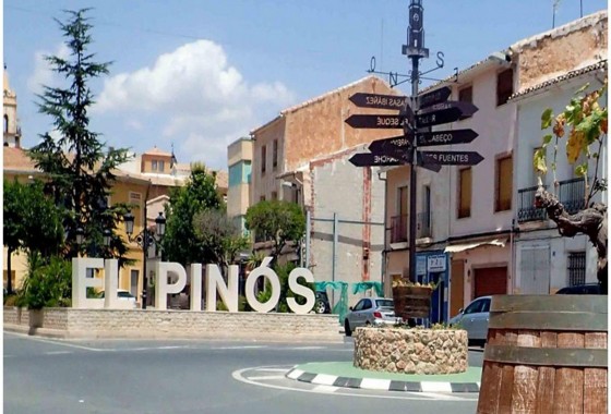 Obra nueva - Chalet - Pinoso - Campo