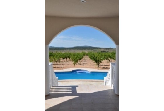 New Build - Detached Villa - Pinoso - Campo