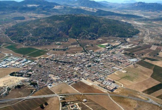 Obra nueva - Chalet - Pinoso - Campo