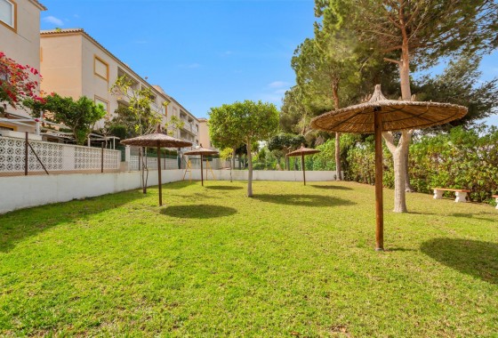 Segunda Mano - Apartamento - Torrevieja - Torreblanca