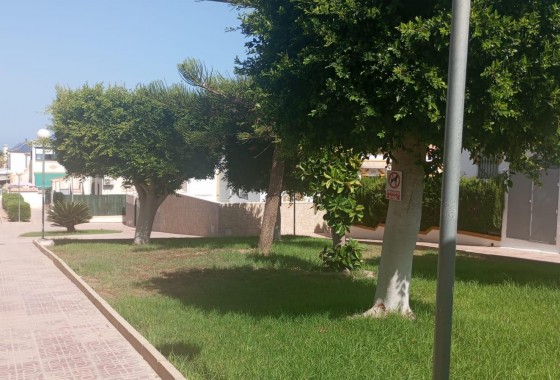 Segunda Mano - Bungalow - Torrevieja - Los altos