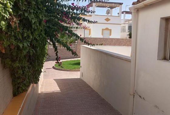 Revente - Bungalow - Torrevieja - Los altos