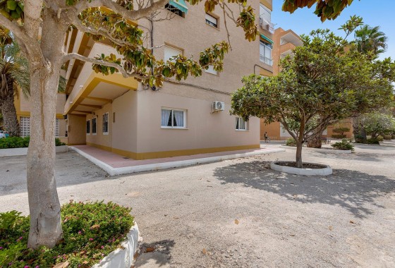 Resale - Apartment - Guardamar del Segura - Pinomar