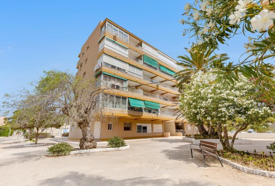 Resale - Apartment - Guardamar del Segura - Pinomar