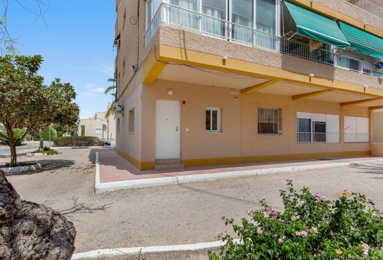 Resale - Apartment - Guardamar del Segura - Pinomar