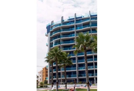 Segunda Mano - Apartamento - Torrevieja - Punta prima