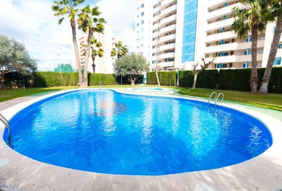 Resale - Apartment - Guardamar del Segura - CENTRO