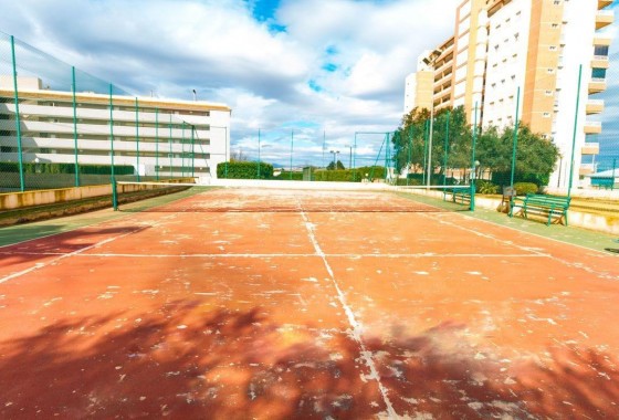 Segunda Mano - Apartamento - Guardamar del Segura - CENTRO