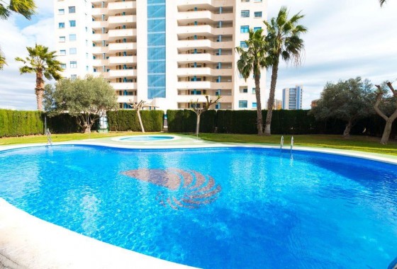 Resale - Apartment - Guardamar del Segura - CENTRO