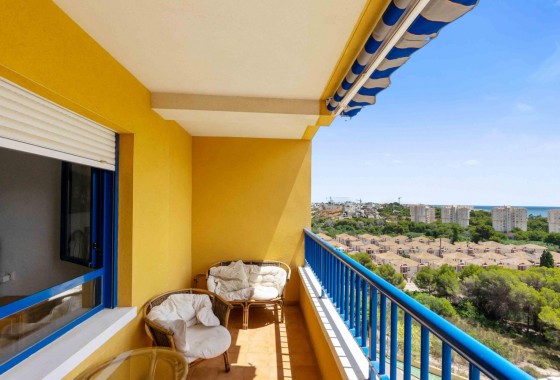 Segunda Mano - Apartamento - Orihuela Costa - Campoamor