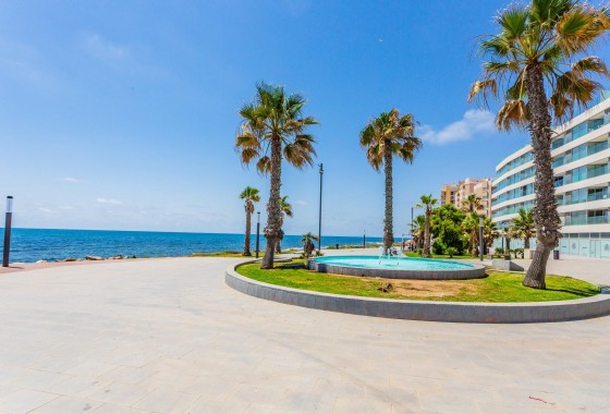 Segunda Mano - Apartamento - Torrevieja - Playa de los locos