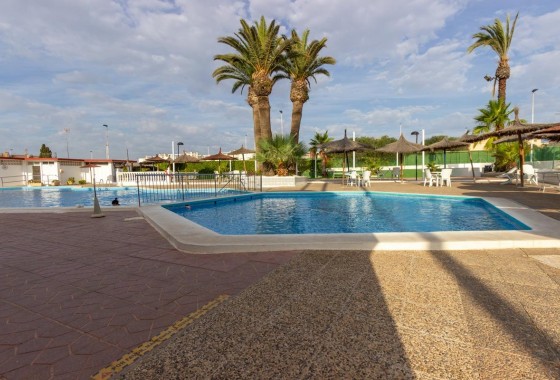 Segunda Mano - Chalet - Torrevieja - Cabo cervera