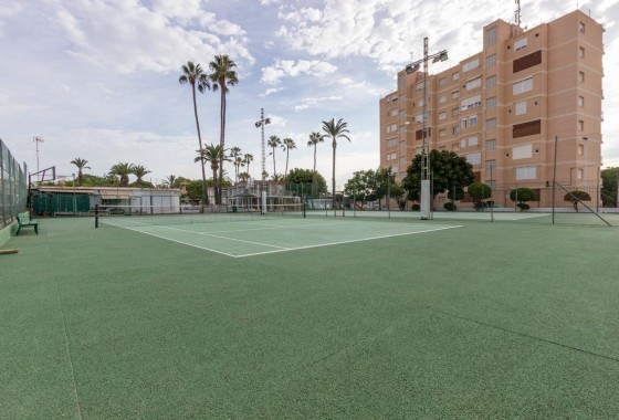 Segunda Mano - Chalet - Torrevieja - Cabo cervera