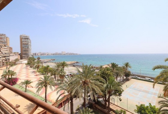 Resale - Apartment - Alicante - Barrio Obrero