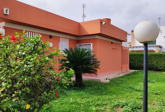 Resale - Detached Villa - Torrevieja - La veleta