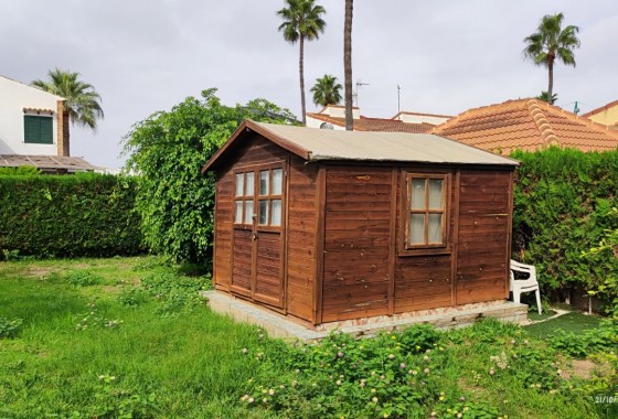 Segunda Mano - Chalet - Torrevieja - La veleta