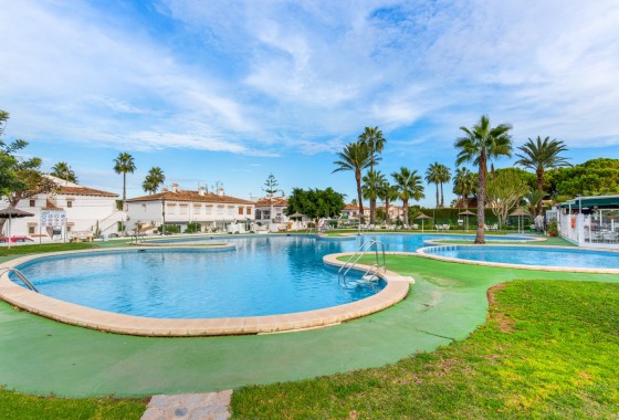 Segunda Mano - Adosado - Torrevieja - Lago jardin