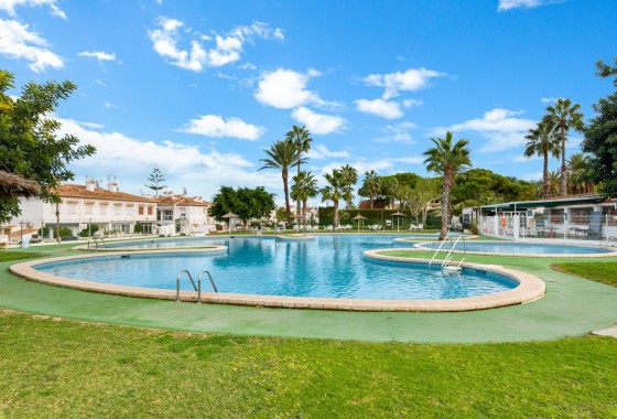 Segunda Mano - Adosado - Torrevieja - Lago jardin