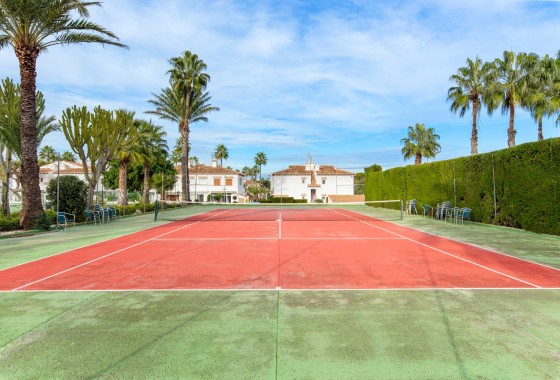 Segunda Mano - Adosado - Torrevieja - Lago jardin