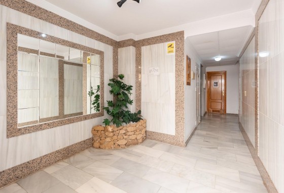 Resale - Apartment - Torrevieja - La Mata pueblo