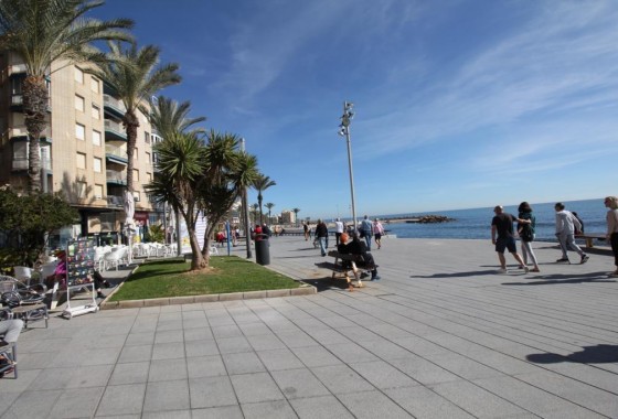 Revente - Appartement - Torrevieja - Paseo maritimo