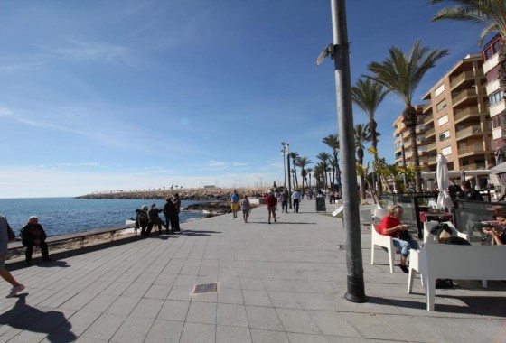 Segunda Mano - Apartamento - Torrevieja - Paseo maritimo