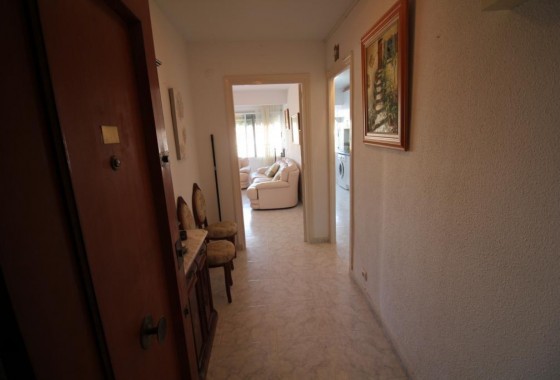 Segunda Mano - Apartamento - Torrevieja - Paseo maritimo