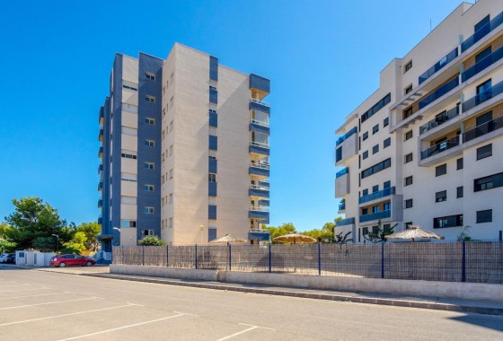 Segunda Mano - Apartamento - Orihuela Costa - Altos de Campoamor