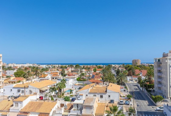 Segunda Mano - Ático - Torrevieja - Nueva Torrevieja