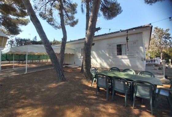 Segunda Mano - Chalet - Torrevieja