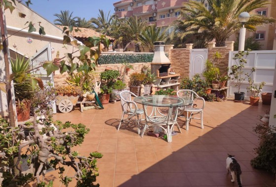 Segunda Mano - Apartamento - Orihuela Costa - Campoamor