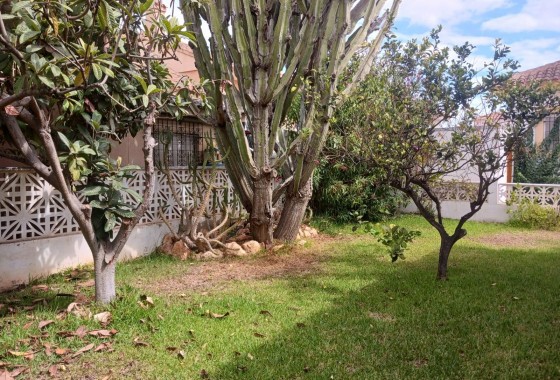 Segunda Mano - Chalet - Orihuela Costa - Punta Prima