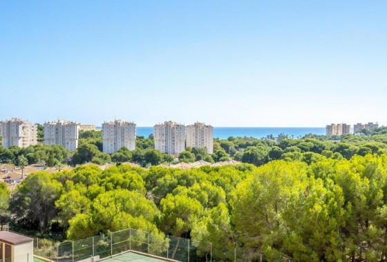 Segunda Mano - Apartamento - Orihuela Costa - Altos de Campoamor