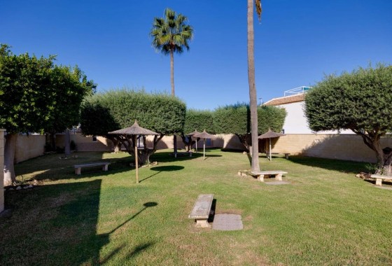 Revente - Bungalow - Torrevieja - Doña ines