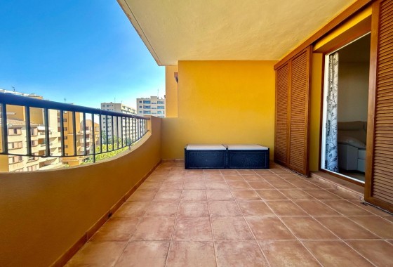 Segunda Mano - Apartamento - Torrevieja - Punta prima