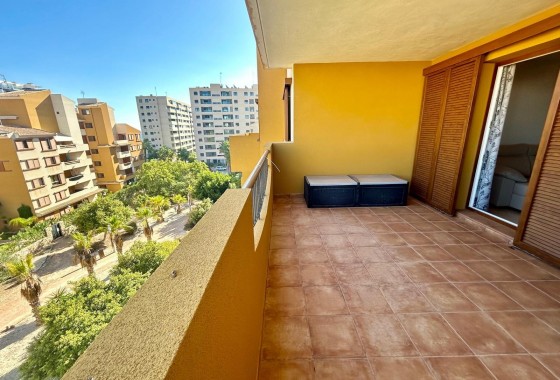 Segunda Mano - Apartamento - Torrevieja - Punta prima