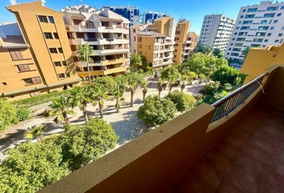 Segunda Mano - Apartamento - Torrevieja - Punta prima