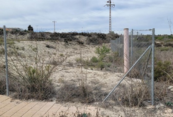 Revente - Parcelle / Terrain - Torremendo