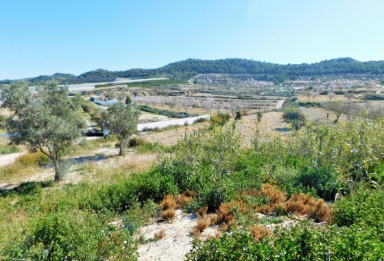 Segunda Mano - finca - Torremendo