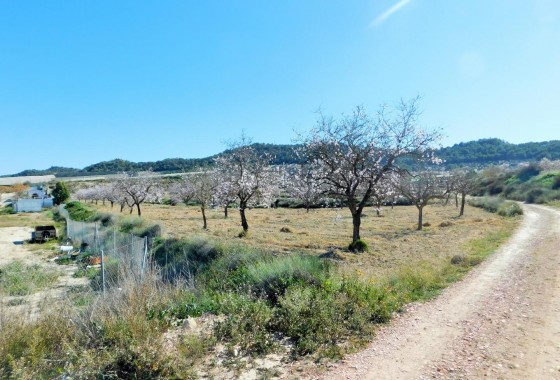 Segunda Mano - finca - Torremendo