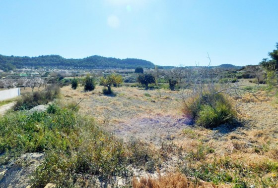 Segunda Mano - finca - Torremendo