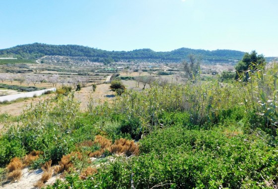 Segunda Mano - finca - Torremendo