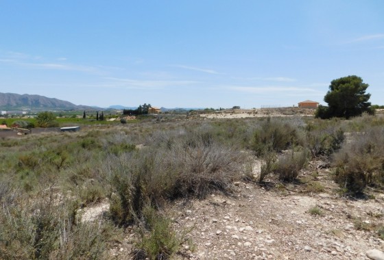 Revente - Plot / Land - Fortuna - FORTUNA (MURCIA)