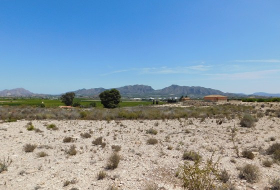 Segunda Mano - Plot / Land - Fortuna - FORTUNA (MURCIA)