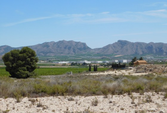 Resale - Plot / Land - Fortuna - FORTUNA (MURCIA)