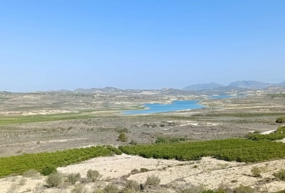 Segunda Mano - Chalet - San Miguel de Salinas